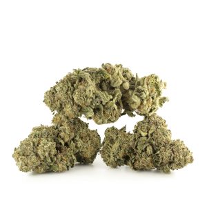 Buy Space Queen Strain Online Green Society