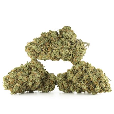 Buy Tangerine Sunset Strain Online Green Society