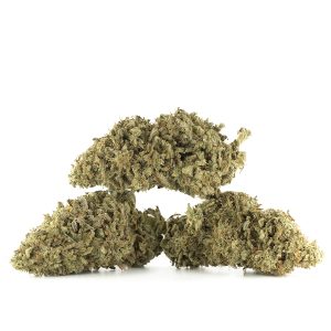 Buy The Vision strain online Canada Green Society