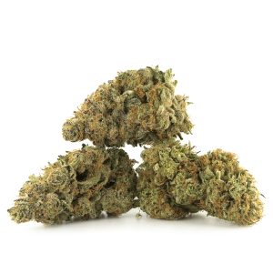 Buy Cinderella 99 Strain Online Green Society