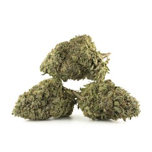 Buy El Chapo Strain Online Green Society