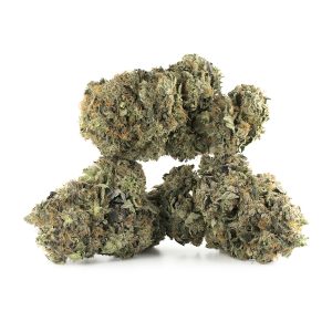 Buy Gas Station Bob F2 Strain Online Green Society