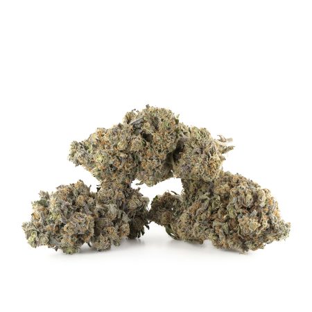 Buy Meat Breath Strain Online Green Society