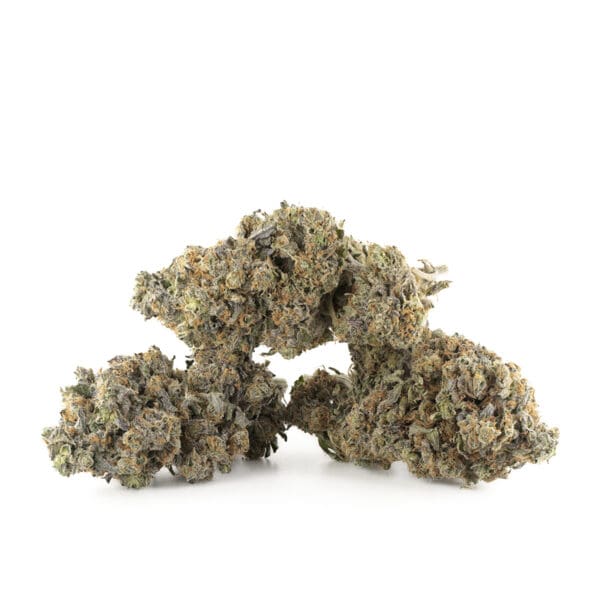 Buy Meat Breath Strain Online Green Society