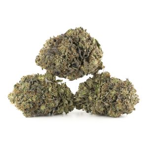 Buy Northern Lights Strain Online Green Society