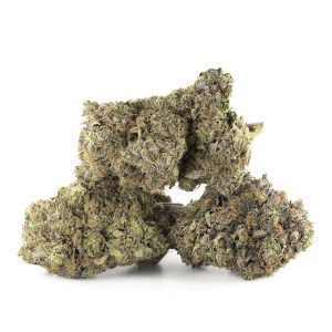 Buy Northern Lights Strain Online Green Society