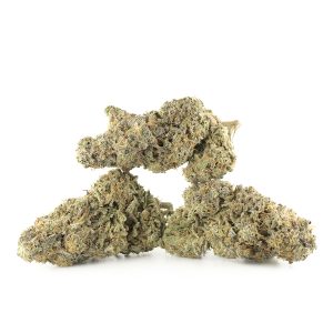 Buy Strawberry Cough Strain Online Green Society