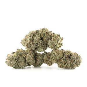 Buy Tahoe OG Kush Strain Online Green Society