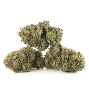 Buy Tuna Kush Strain Online Green Society