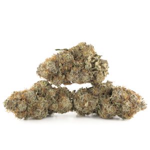 Buy Apple Fritter Strain Online Green Society