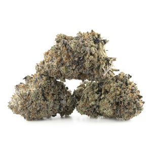 Buy Black Gas Strain Online Green Society