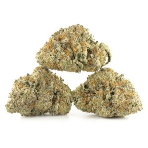 Buy Forum Cut Girl Scouts Cookies Strain Online Green Society