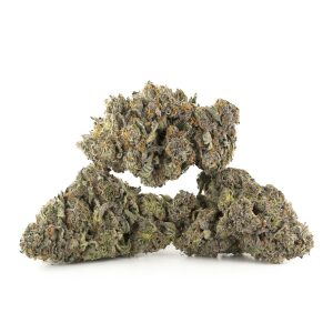 Buy Frosty Gelato Strain Online Green Society