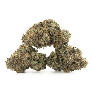 Buy Gelato #33 Strain Online Green Society