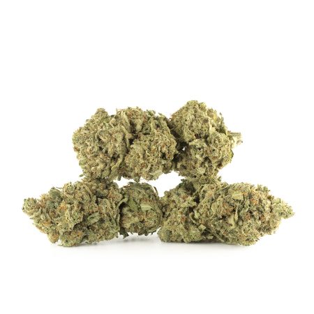 Buy Girl Scout Cookies Strain Online Green Society