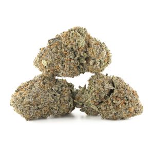 Buy Hindu Kush Strain Online Green Society