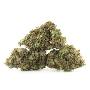 Buy Master Kush Strain Online Green Society