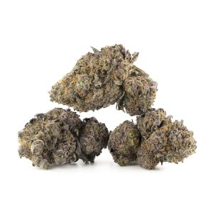 Buy Purple Space Cookies Strain Online Green Society