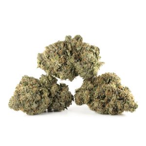 Buy Rockstar Strain Online Green Society