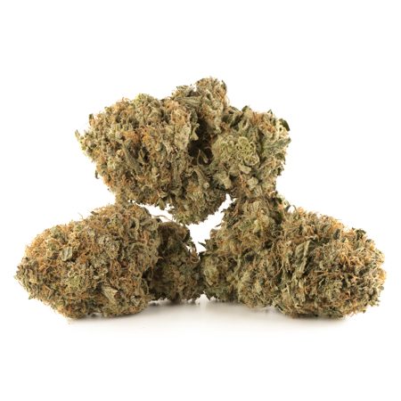 Buy Tahoe OG Kush Strain Online Green Society