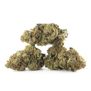 Buy The Vision Strain Online Green Society