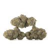 Buy Do-Si Dos Strain Online Green Society