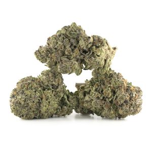 Buy Gator Breath Strain Online Green Society