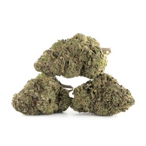 Buy Sunset Sherbet Strain Online Green Society