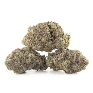 Buy Tangerine Cookies Strain Online Green Society