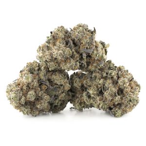 Buy Fruit Gushers Strain Online Green Society