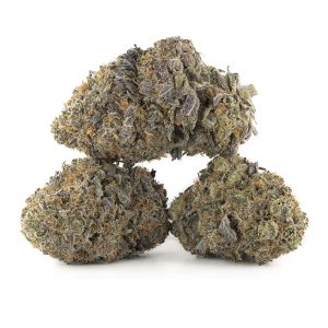 Buy Fruit Gushers Strain Online Green Society