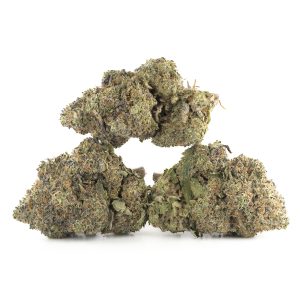 Buy Gary Payton Strain Online Green Society