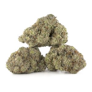 Buy Mochi Gelato Strain Online Green Society