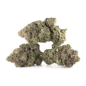 Buy OG Diesel Kush Strain Online Green Society