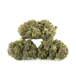 Buy Pink Kush Strain Online Green Society