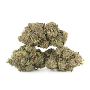 Buy Sunset Sherbet Strain Online Green Society