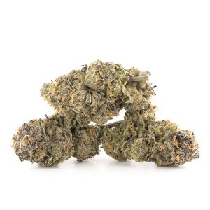 Buy Twisted Citrus Strain Online Green Society