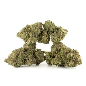 Buy BC Kush Strain Online Green Society