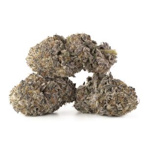 Buy Black Cherry Pie by In House Genetics Online Green Society