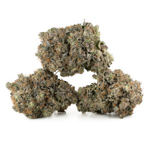 Buy Black Gas by Pluto Craft Cannabis Online Green Society