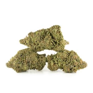 Buy Laughing Buddha Strain Online Green Society