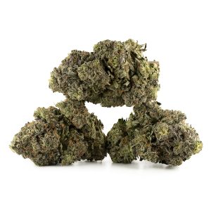 Buy Lava Cake #11 Strain Online Green Society