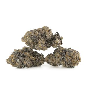 Buy Platinum Cookies Strain Online Green Society