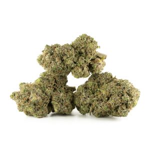 Buy Rockstar Strain Online Green Society