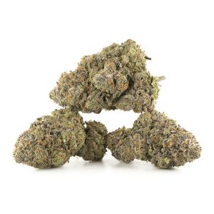 Buy Twisted Citrus Strain Online Green Society