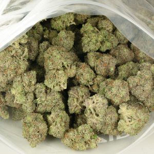 Buy Blue Fin Tuna Strain Online Green Society