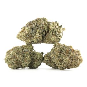 Buy Bread & Butter Strain Online Green Society