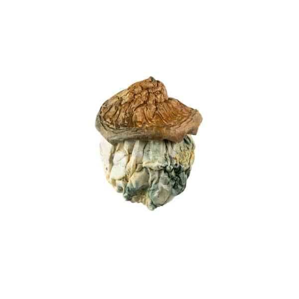 Buy Dido Eggs Mushrooms Online Green Society