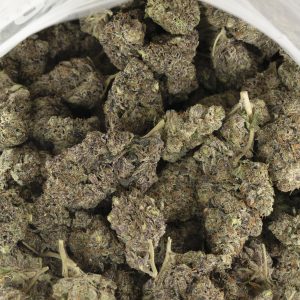 Buy El Chapo Strain Online Green Society