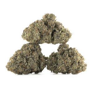 Buy El Chapo Strain Online Green Society